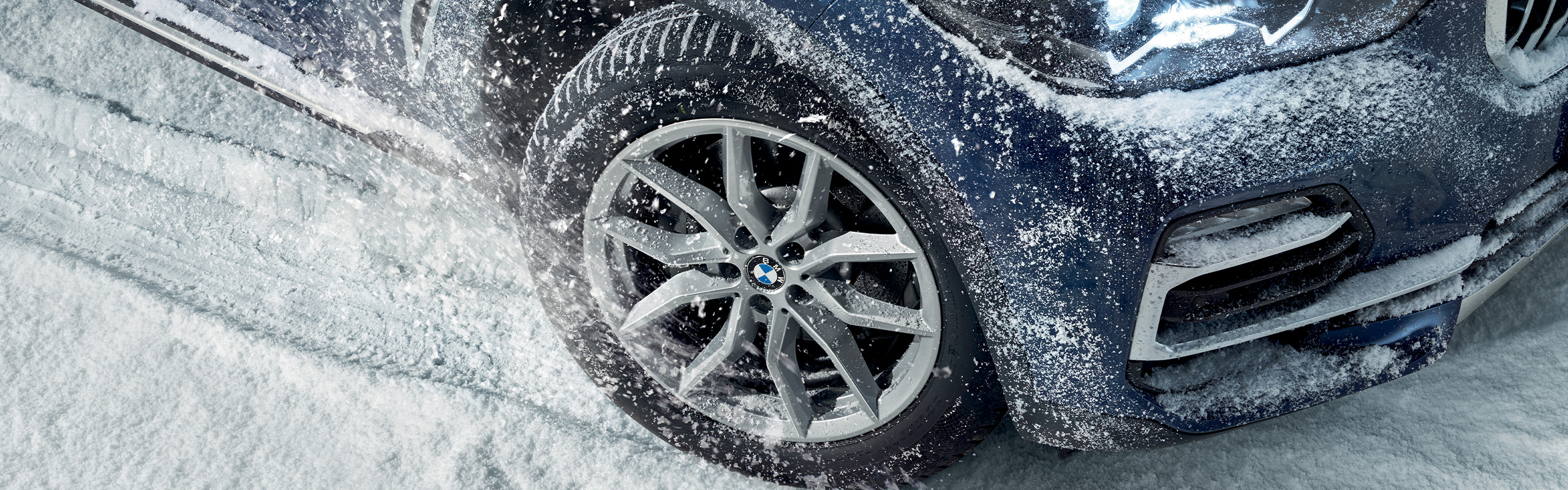 VÝPRODEJ ZIMNÍCH SAD KOL SE SLEVOU AŽ 35%