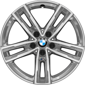 1RG | 17" M light alloy wheels Double-spoke style 550 M Bicolour