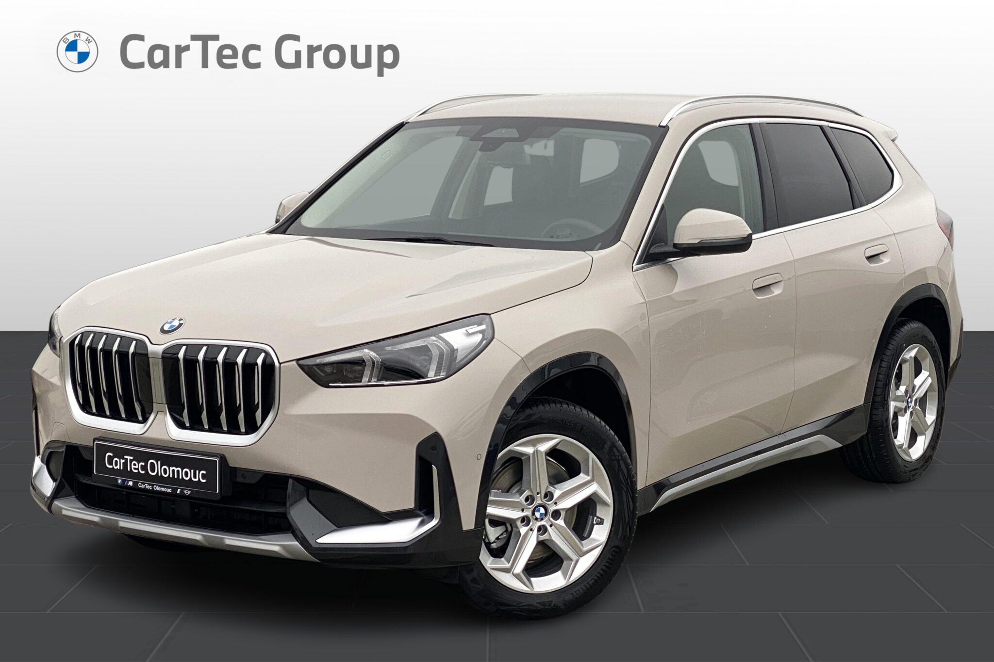 BMW X1 sDrive20i